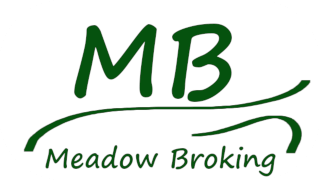 Meadow Broking Logo